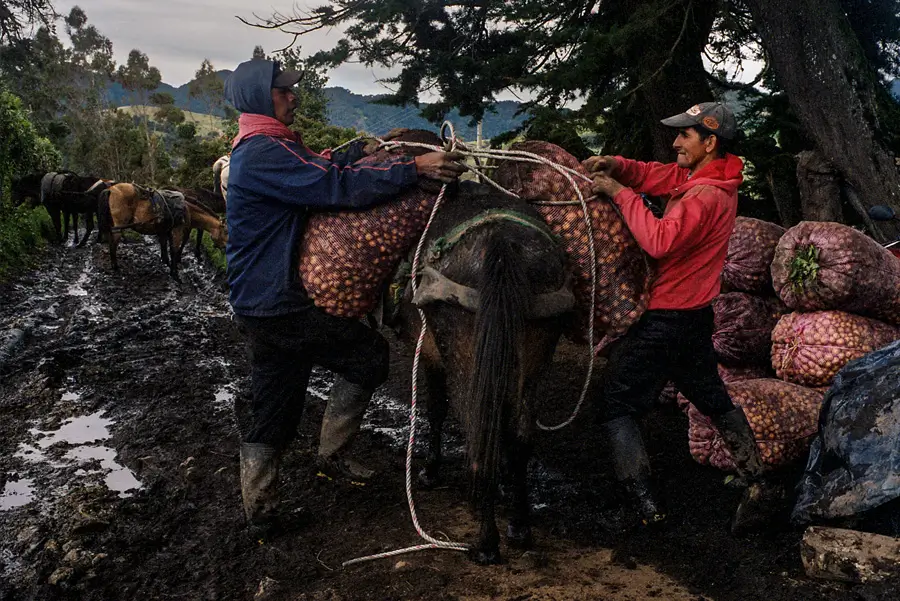 Farmers resting on the mountain