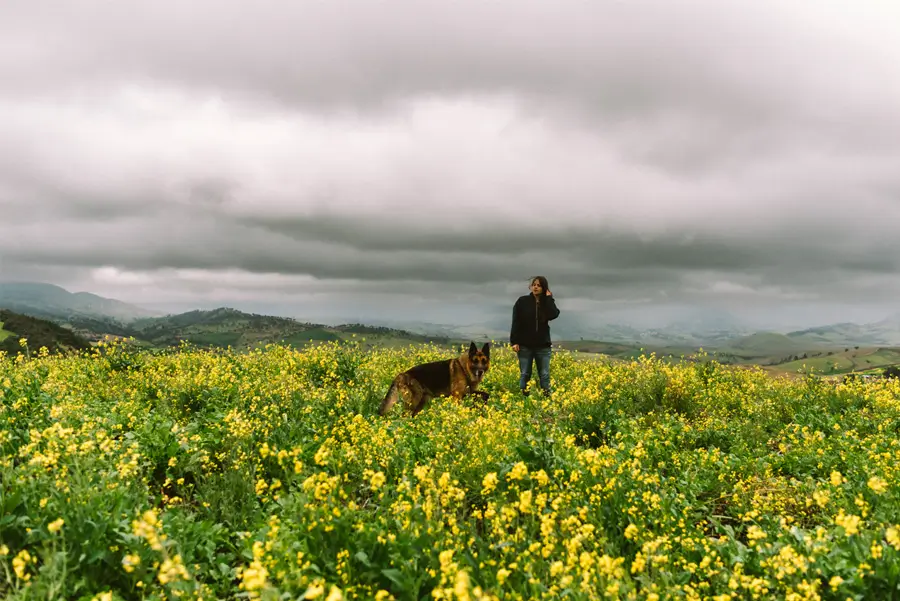 Farmers
